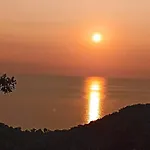 View *